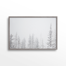 Load image into Gallery viewer, Aspen Backside