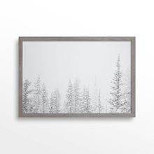 Load image into Gallery viewer, Aspen Backside