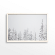 Load image into Gallery viewer, Aspen Backside