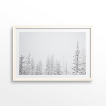 Load image into Gallery viewer, Aspen Backside