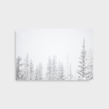 Load image into Gallery viewer, Aspen Backside