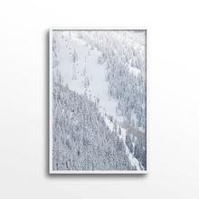 Load image into Gallery viewer, Aspen Gondola