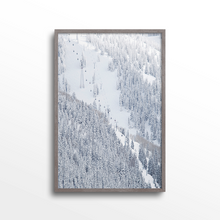 Load image into Gallery viewer, Aspen Gondola