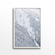 Load image into Gallery viewer, Aspen Gondola