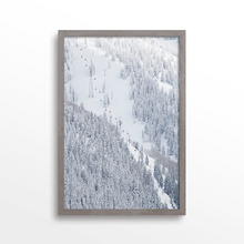 Load image into Gallery viewer, Aspen Gondola