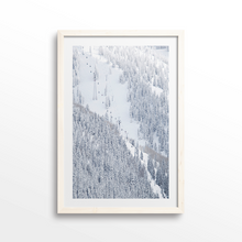 Load image into Gallery viewer, Aspen Gondola