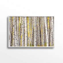 Load image into Gallery viewer, Fall Aspen Grove