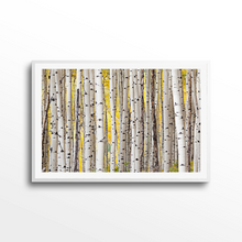 Load image into Gallery viewer, Fall Aspen Grove