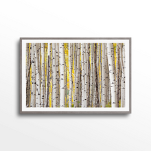 Load image into Gallery viewer, Fall Aspen Grove