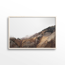 Load image into Gallery viewer, Fall Changes