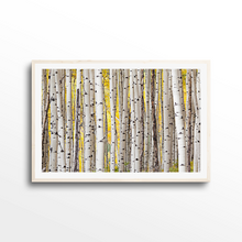 Load image into Gallery viewer, Fall Aspen Grove