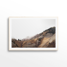 Load image into Gallery viewer, Fall Changes