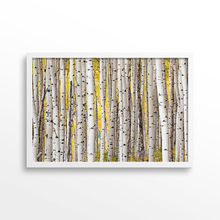 Load image into Gallery viewer, Fall Aspen Grove