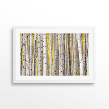 Load image into Gallery viewer, Fall Aspen Grove