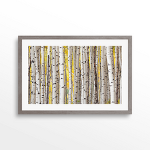 Load image into Gallery viewer, Fall Aspen Grove