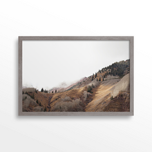 Load image into Gallery viewer, Fall Changes