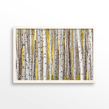 Load image into Gallery viewer, Fall Aspen Grove