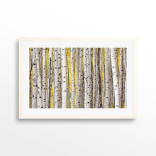 Load image into Gallery viewer, Fall Aspen Grove