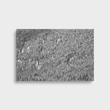 Load image into Gallery viewer, Shadow Mountain