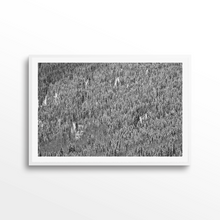 Load image into Gallery viewer, Shadow Mountain