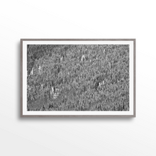 Load image into Gallery viewer, Shadow Mountain