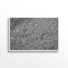 Load image into Gallery viewer, Shadow Mountain