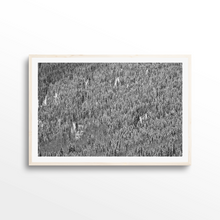 Load image into Gallery viewer, Shadow Mountain