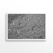 Load image into Gallery viewer, Shadow Mountain