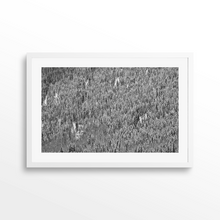 Load image into Gallery viewer, Shadow Mountain