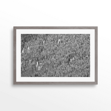 Load image into Gallery viewer, Shadow Mountain