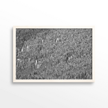 Load image into Gallery viewer, Shadow Mountain