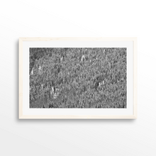 Load image into Gallery viewer, Shadow Mountain