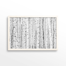 Load image into Gallery viewer, Aspen Grove