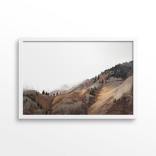 Load image into Gallery viewer, Fall Changes