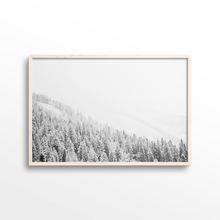 Load image into Gallery viewer, Mountainside